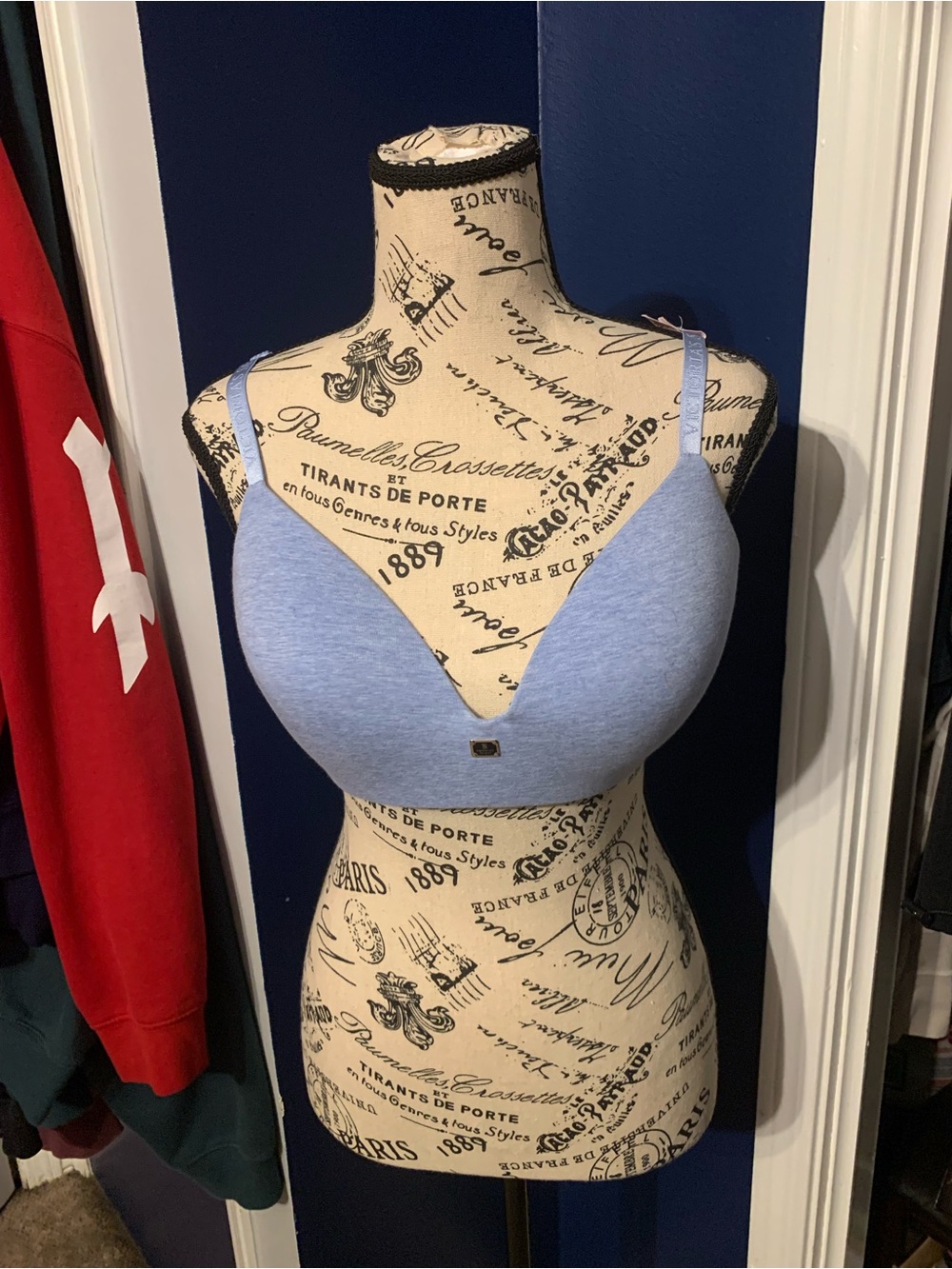 Victoria’s Secret Light Blue T-Shirt Bra with Plunge Neckline